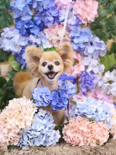 20250621クッキーくん